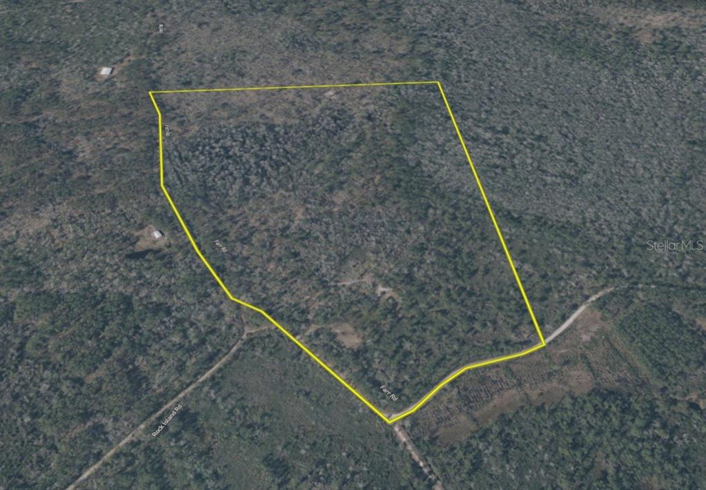 Island Road Mayo, FL 32066 - Photo 76 of 80