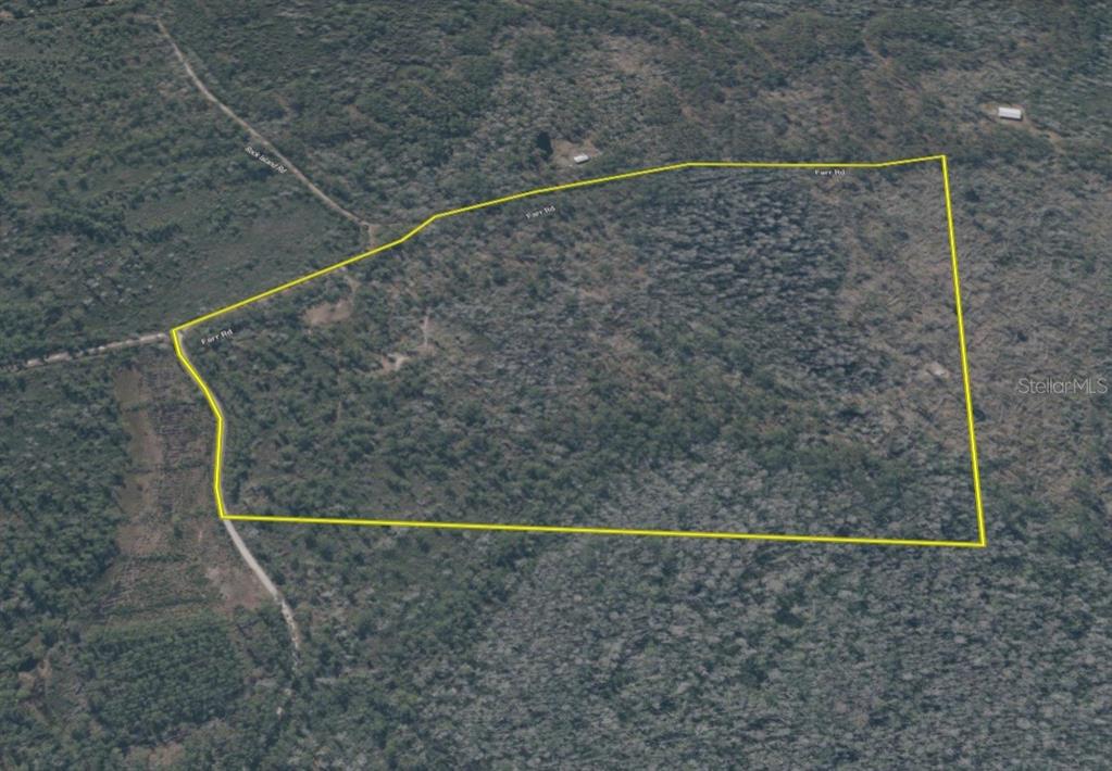 Island Road Mayo, FL 32066 - Photo 77 of 80