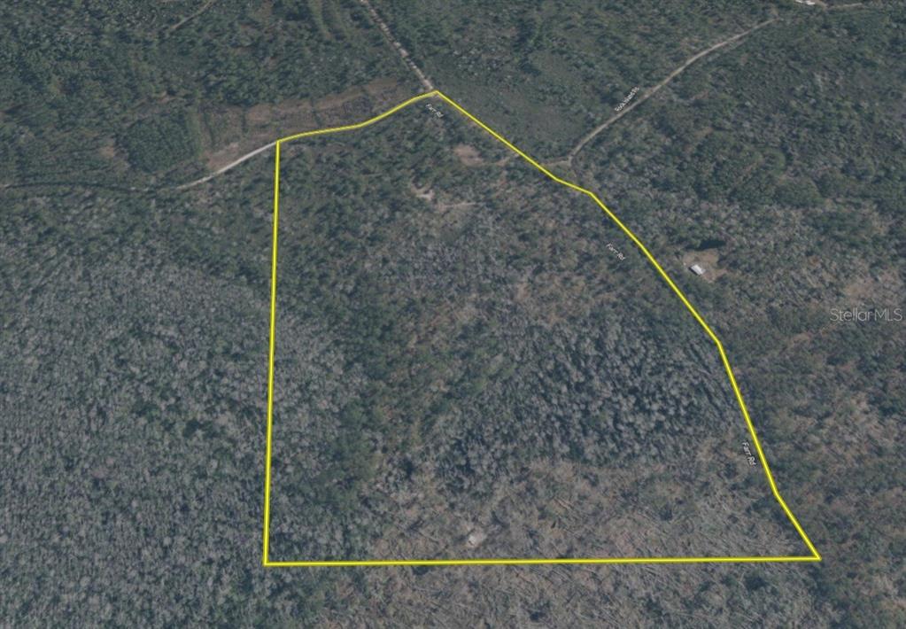 Island Road Mayo, FL 32066 - Photo 78 of 80