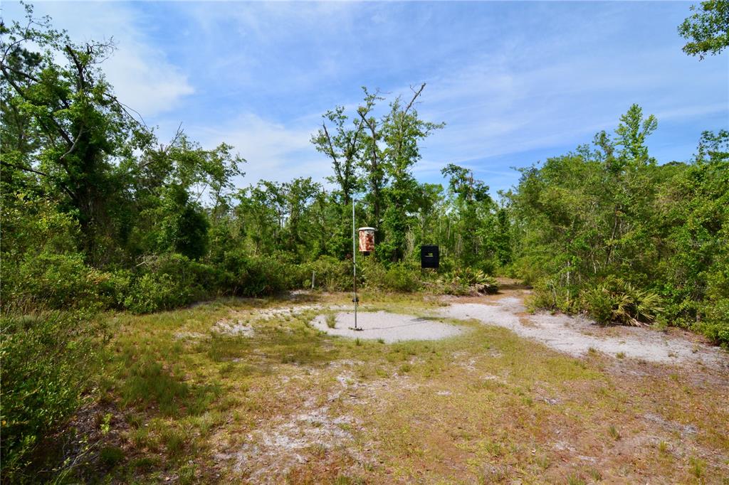 Island Road Mayo, FL 32066 - Photo 8 of 80