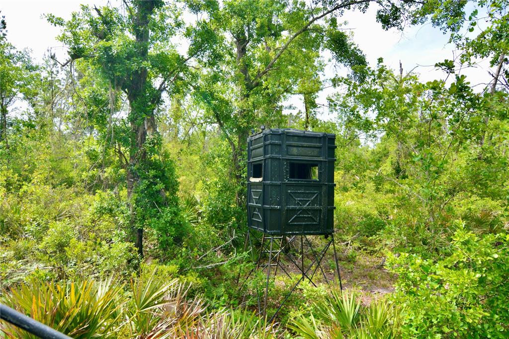 Island Road Mayo, FL 32066 - Photo 9 of 80