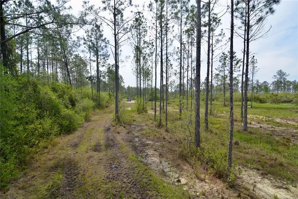 a view of outdoor space with green field and trees
