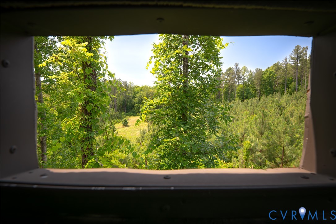 0 Chellowe Road Dillwyn, VA 23936 - Photo 22 of 52