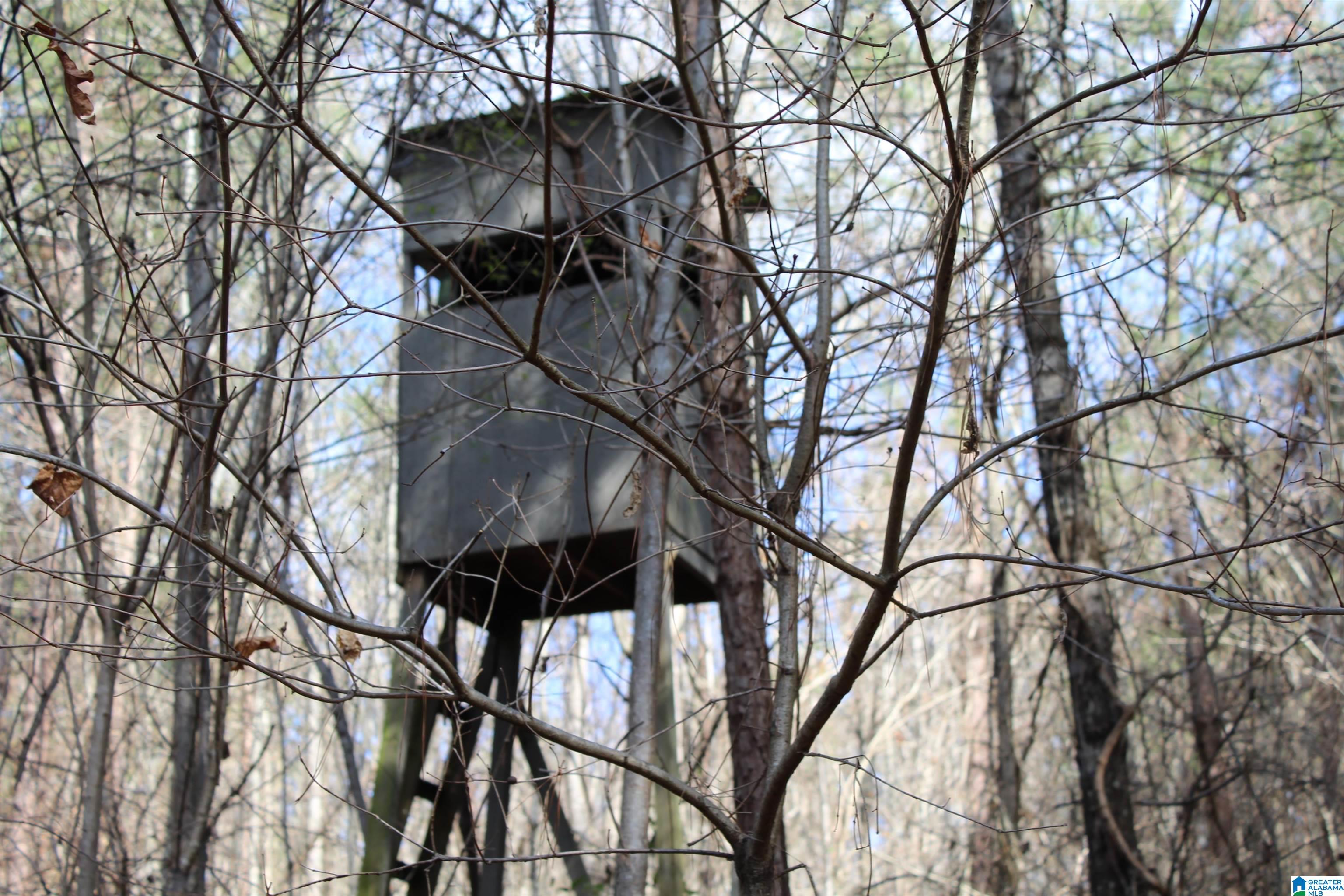518 County Road, Unit 33 859ACRES Woodland, AL 36280 - Photo 10 of 32