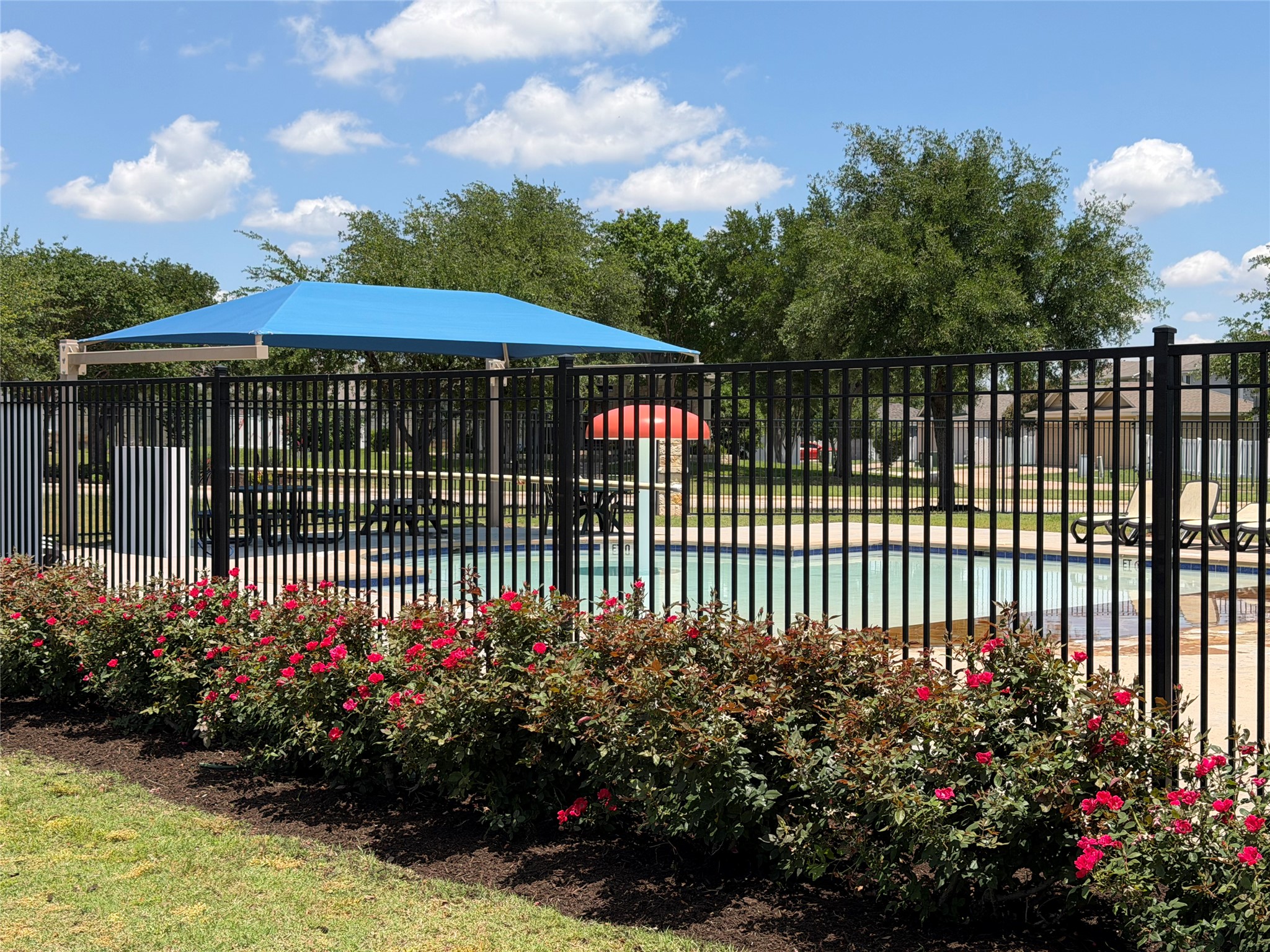 1507 Davis Mountain Loop Cedar Park, TX 78613 - Photo 25 of 30 Community swimming pool area