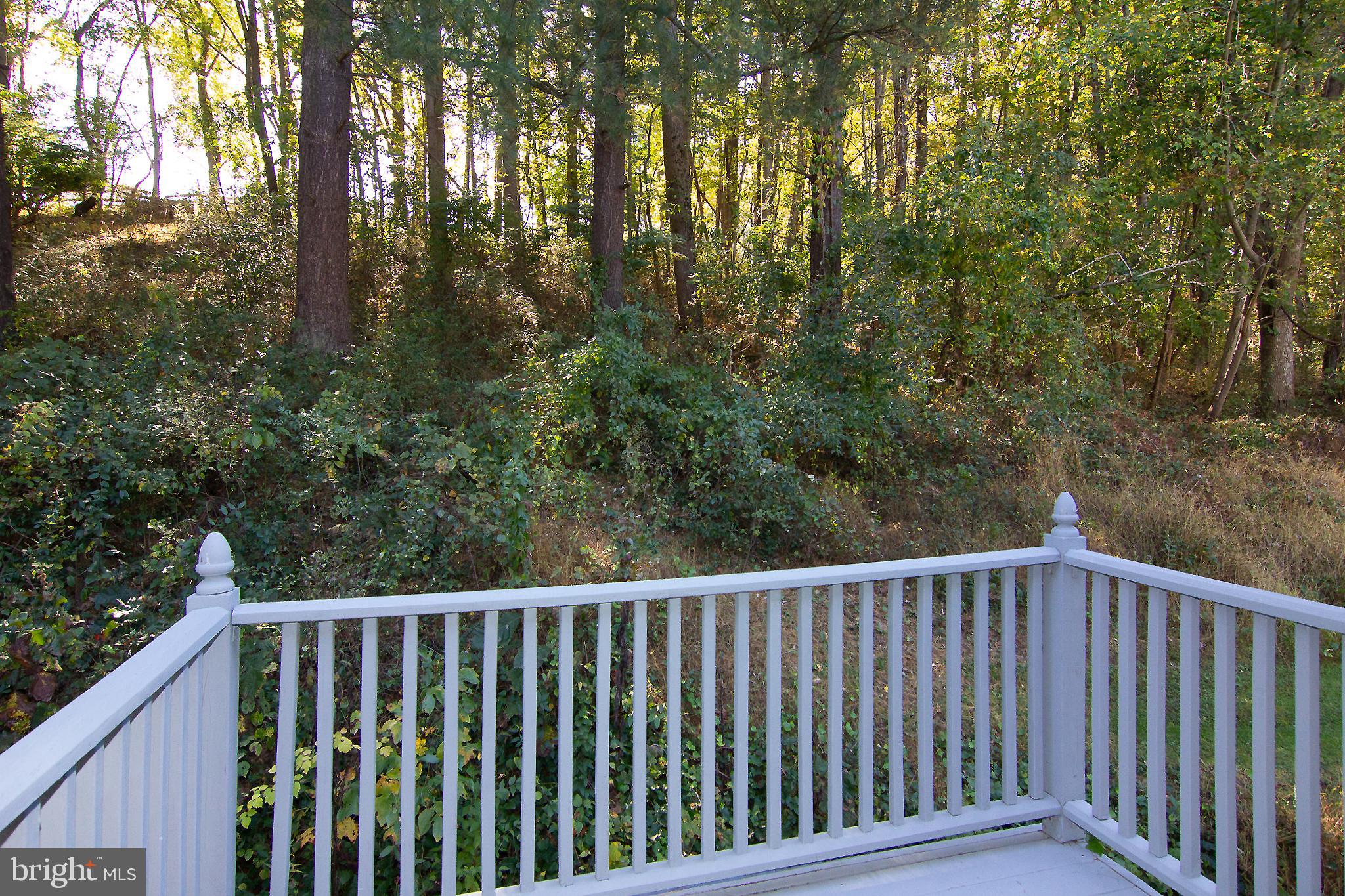 623 Bear Branch Road Westminster, MD 21157 - Photo 33 of 64 Deck off Primary BR