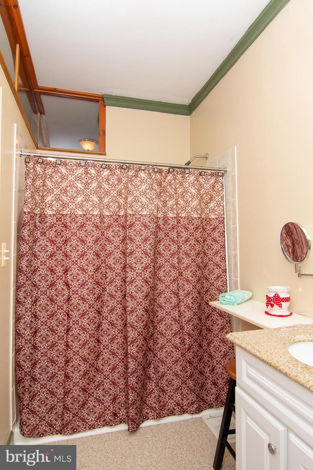 623 Bear Branch Road Westminster, MD 21157 - Photo 36 of 64 Primary Bath with Shower