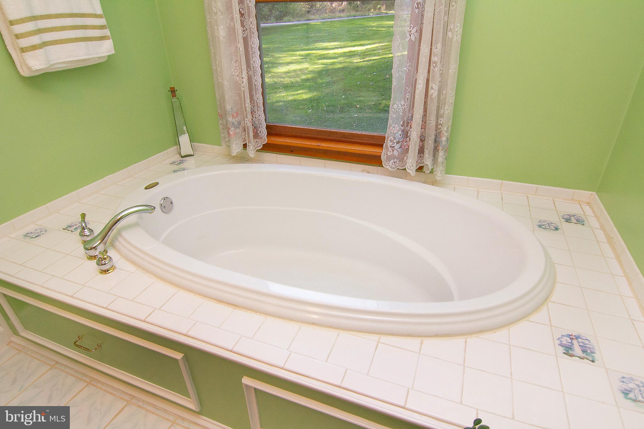 623 Bear Branch Road Westminster, MD 21157 - Photo 42 of 64 Main level full bath with soaking tub