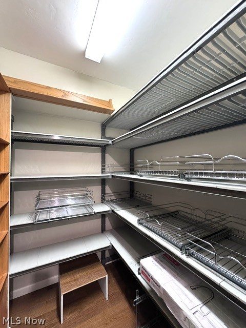305 Guy's Run Road, Unit 305 Akron, OH 44319 - Photo 13 of 37 walk in pantry