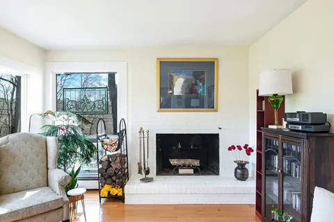 a living room with furniture a fireplace and a potted plant