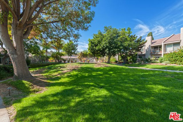 a view of a swimming pool with lawn chairs plants and palm trees