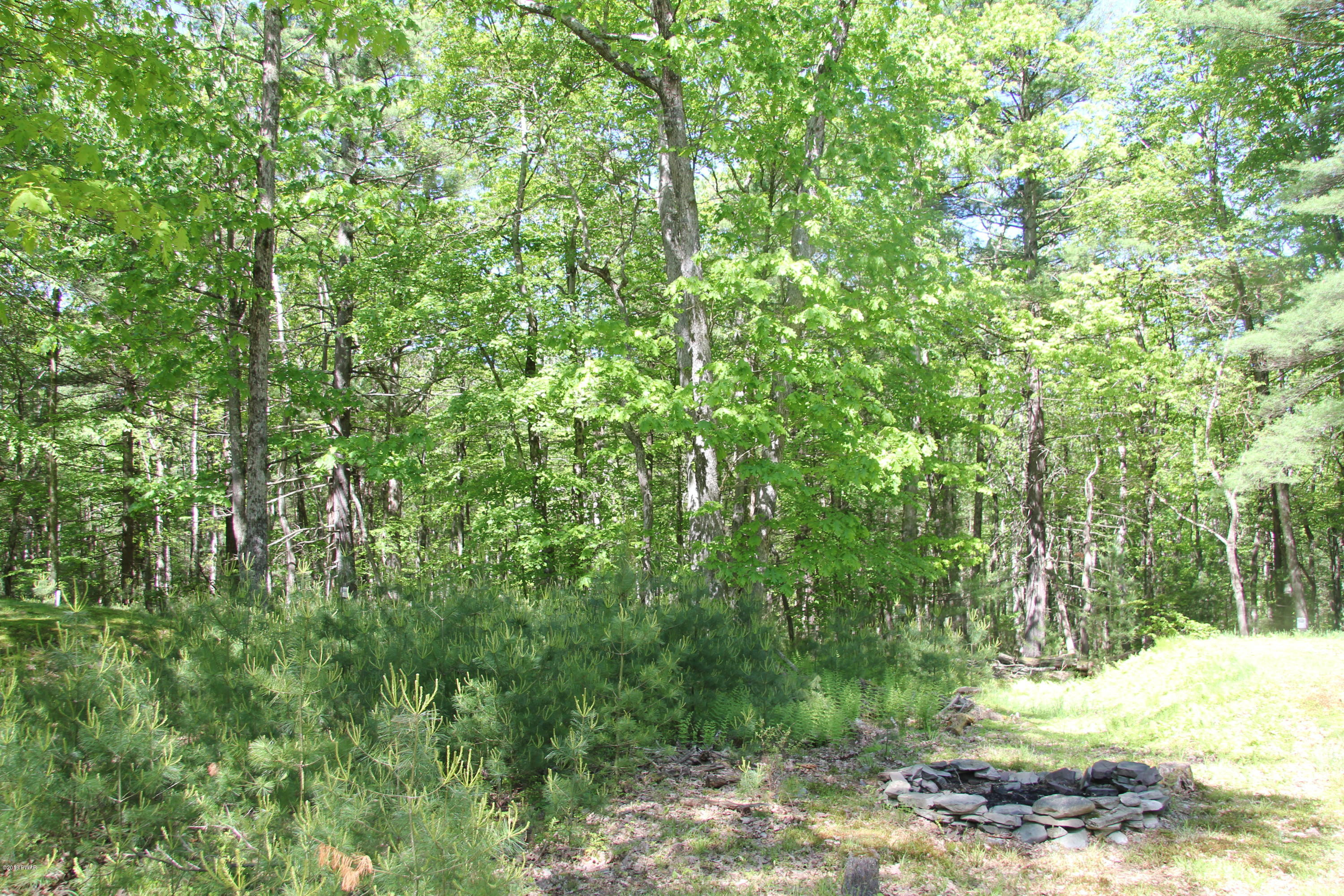 157 Fox Road Dingmans Ferry, PA 18328 - Photo 15 of 16