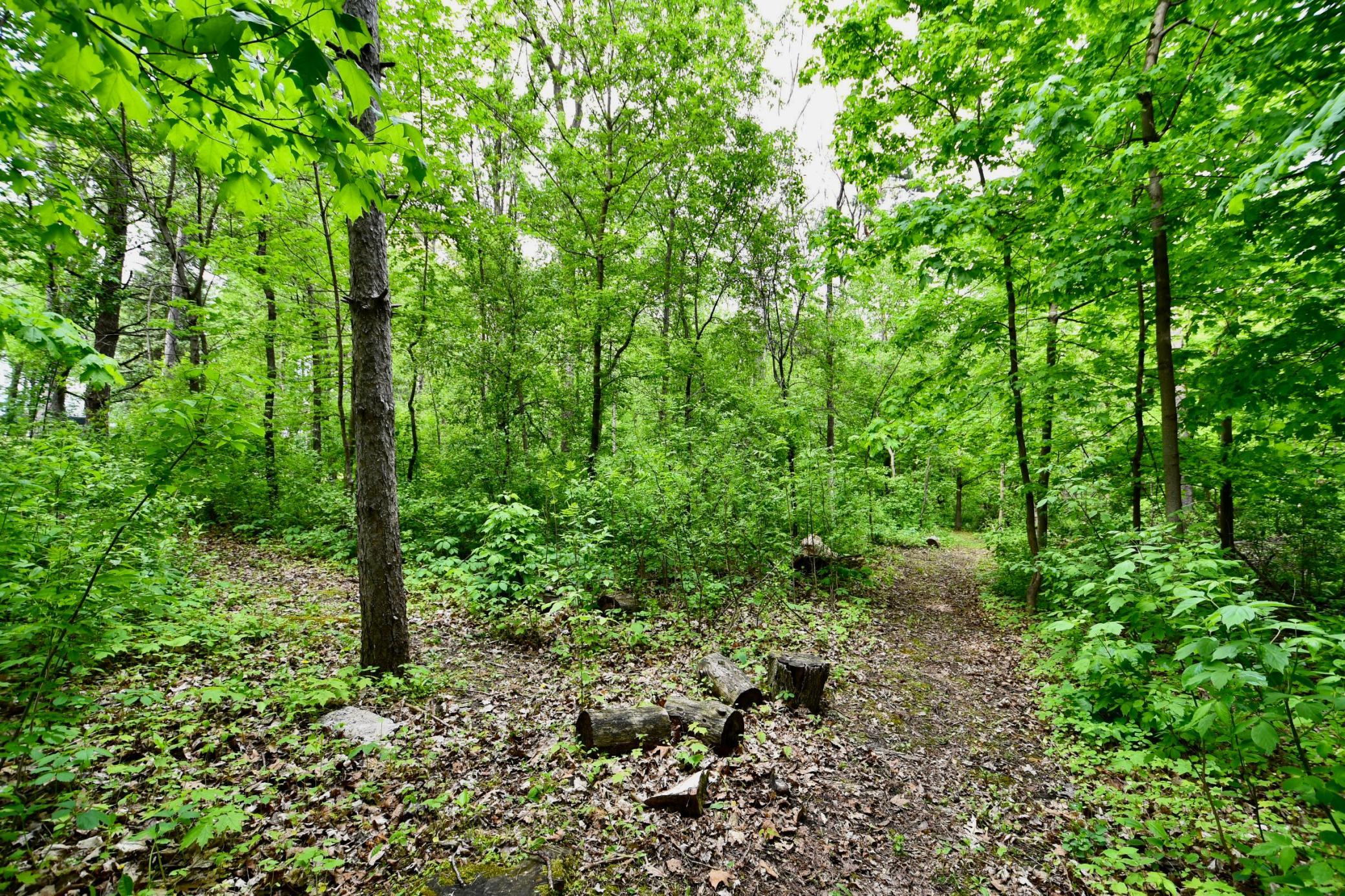 30300 County 1 Stewartville, MN 55976 - Photo 40 of 45