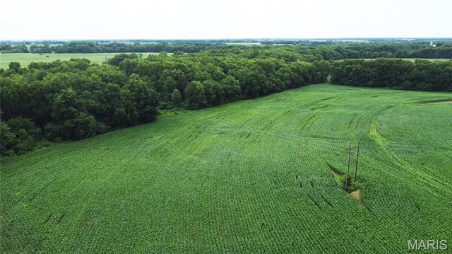 $950,000 | 0 Cc Highway, Wellsville, MO 63384