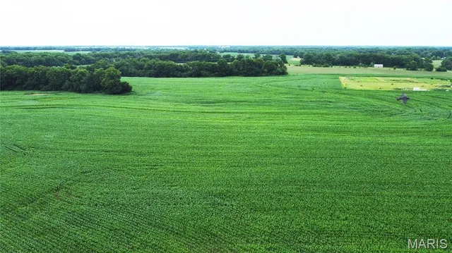 $950,000 | 0 Cc Highway, Wellsville, MO 63384