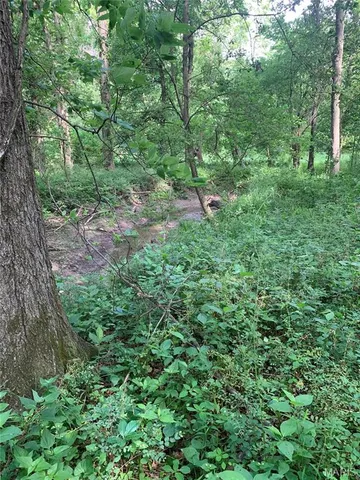 $950,000 | 0 Cc Highway, Wellsville, MO 63384