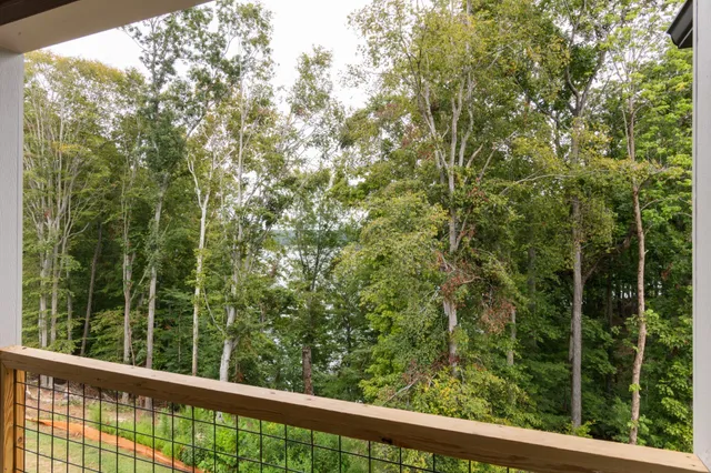 a view of a forest from a window