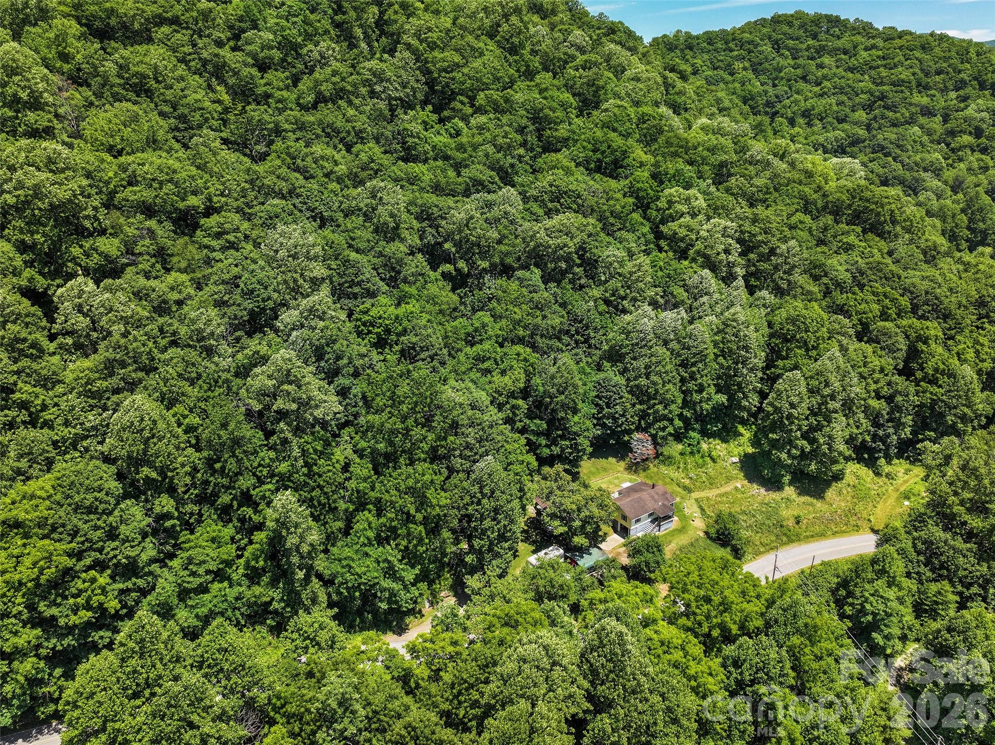 2426 Wesley Creek Road Clyde, NC 28721 - Photo 26 of 30