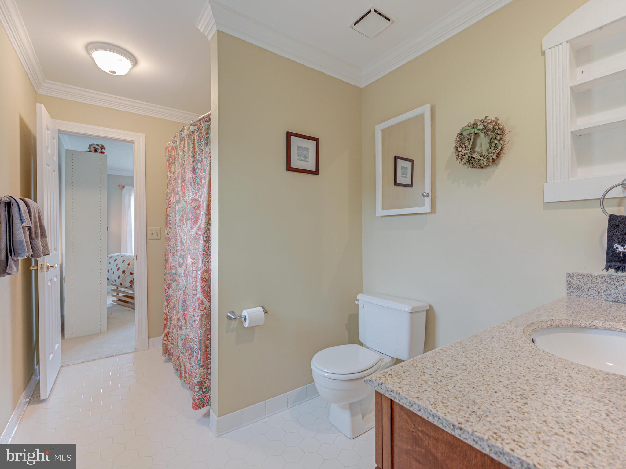 16325 Whitehaven Road Silver Spring, MD 20906 - Photo 41 of 55 Upper Level Full "Buddy or J & J Bath"