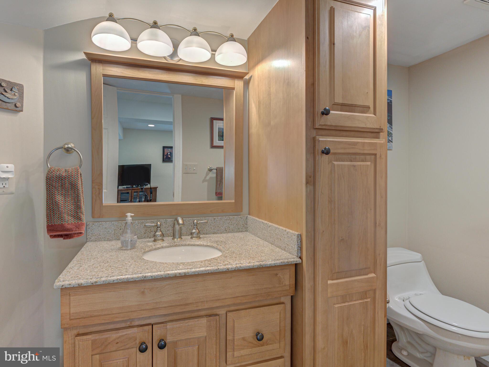 16325 Whitehaven Road Silver Spring, MD 20906 - Photo 51 of 55 Lower Level 4th Full Bsth