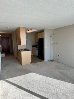 800 Elgin Road, Unit 1404 Evanston, IL 60201 - Photo 3 of 8 a view of kitchen and refrigerator