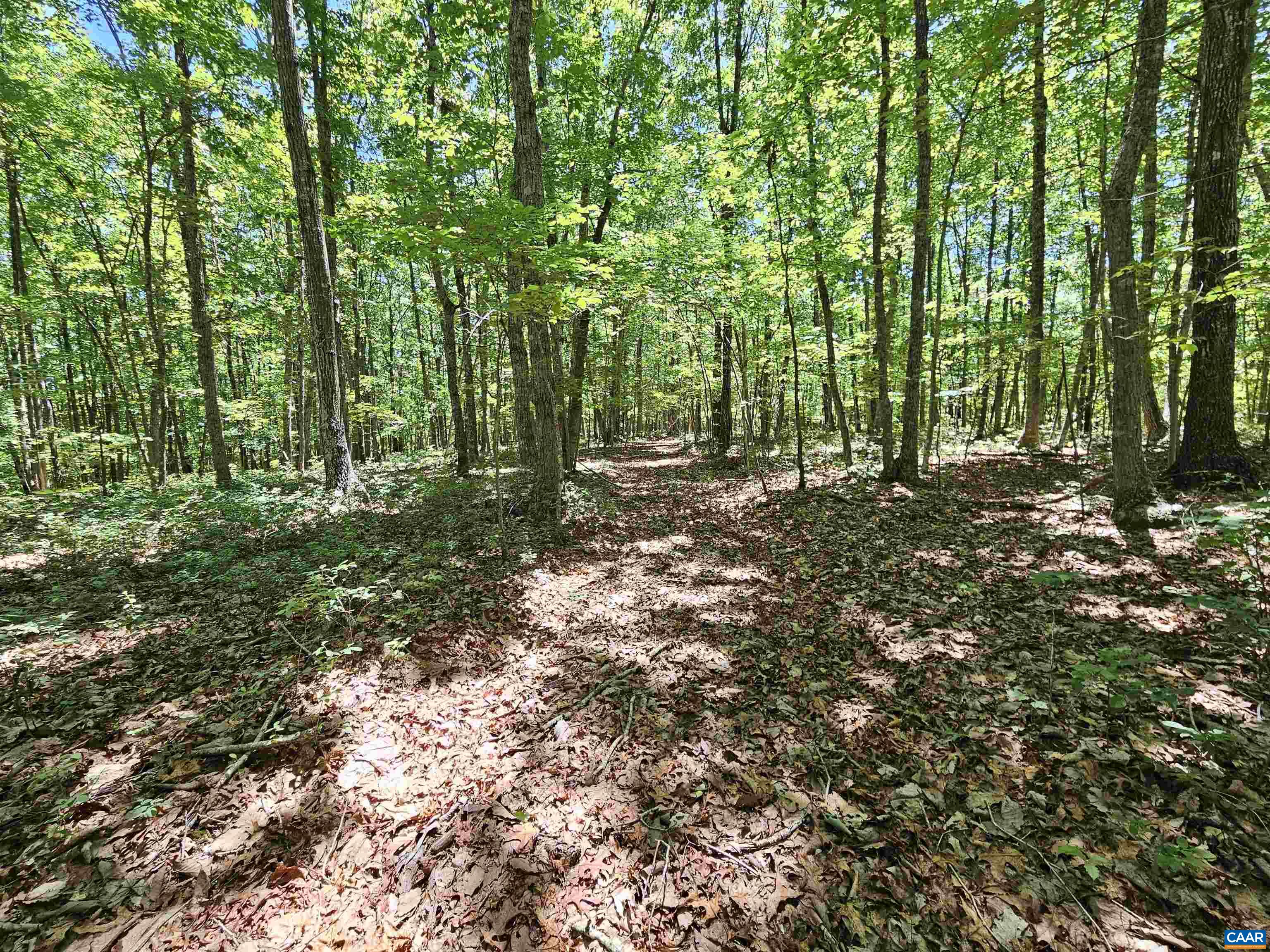 Manteo Road Buckingham, VA 23921 - Photo 11 of 19