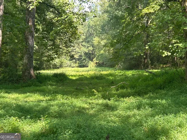 $175,000 | 0 Attaway Road-9.22, Bowdon, GA 30108