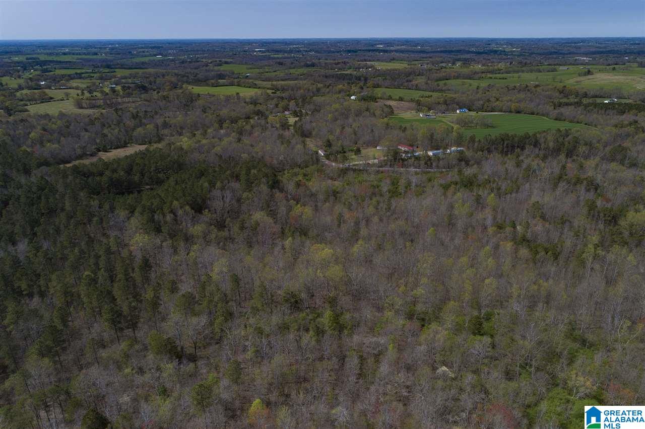 0 Mount Road Blountsville, AL 35031 - Photo 10 of 17