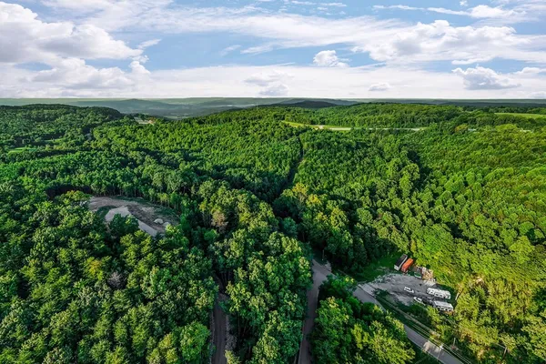 a view of a green field with lots of bushes