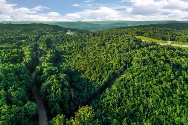 a view of a yard with an umbrella