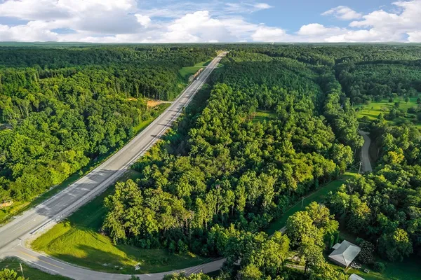 a view of a garden from a balcony
