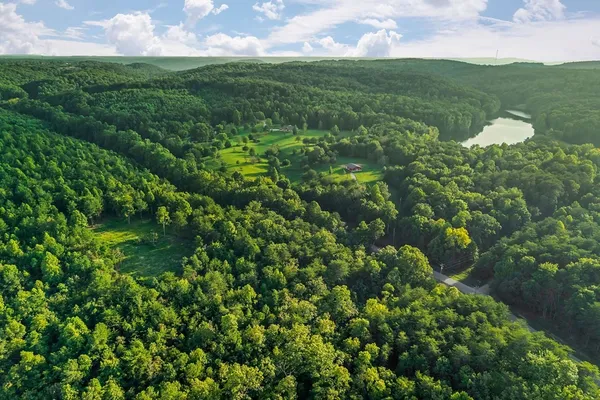 a view of a lush green space