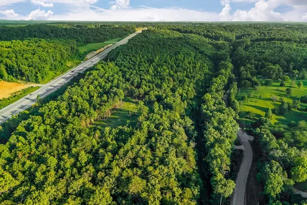 a view of a green field with lots of bushes