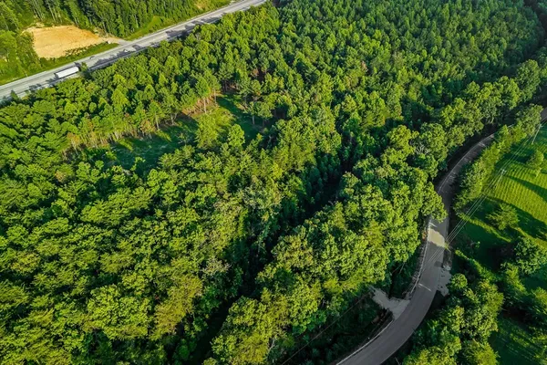 a view of a lush green forest