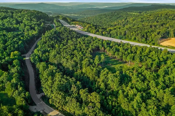 a view of a lush green forest with a lush green forest