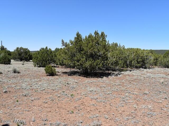 36 County Road 8237 Concho, AZ 85924 - Photo 2 of 9