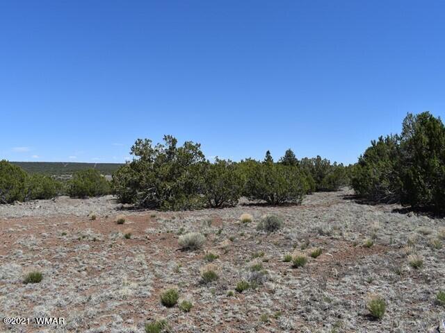 36 County Road 8237 Concho, AZ 85924 - Photo 4 of 9