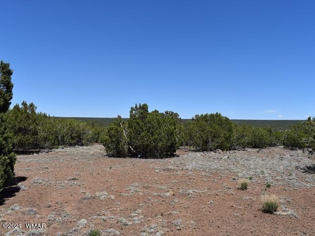 36 County Road 8237 Concho, AZ 85924 - Photo 6 of 9
