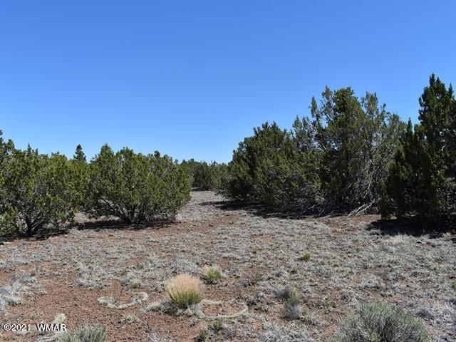 36 County Road 8237 Concho, AZ 85924 - Photo 7 of 9