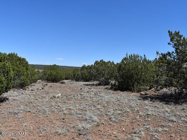 36 County Road 8237 Concho, AZ 85924 - Photo 8 of 9