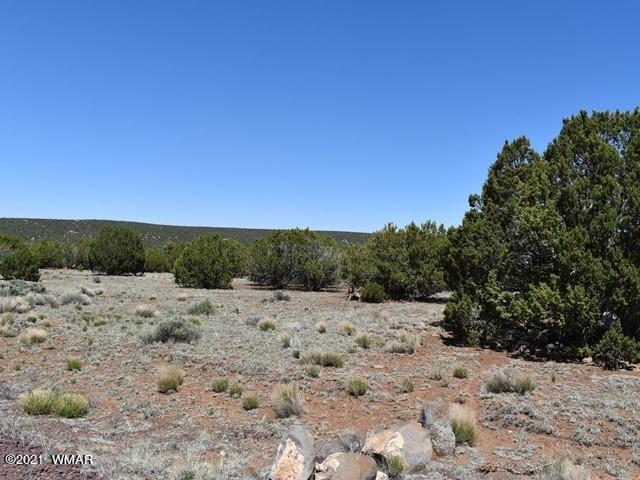 36 County Road 8237 Concho, AZ 85924 - Photo 9 of 9