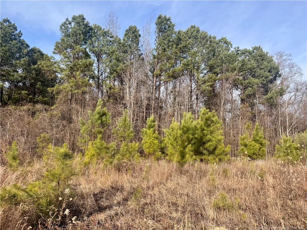 0 Tramway Road Sanford, NC 27330 - Photo 3 of 18 Photo 3