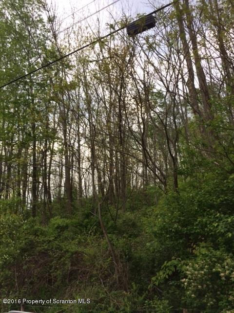 0 Kehrli Road Factoryville, PA 18419 - Photo 1 of 1 IMG_0147