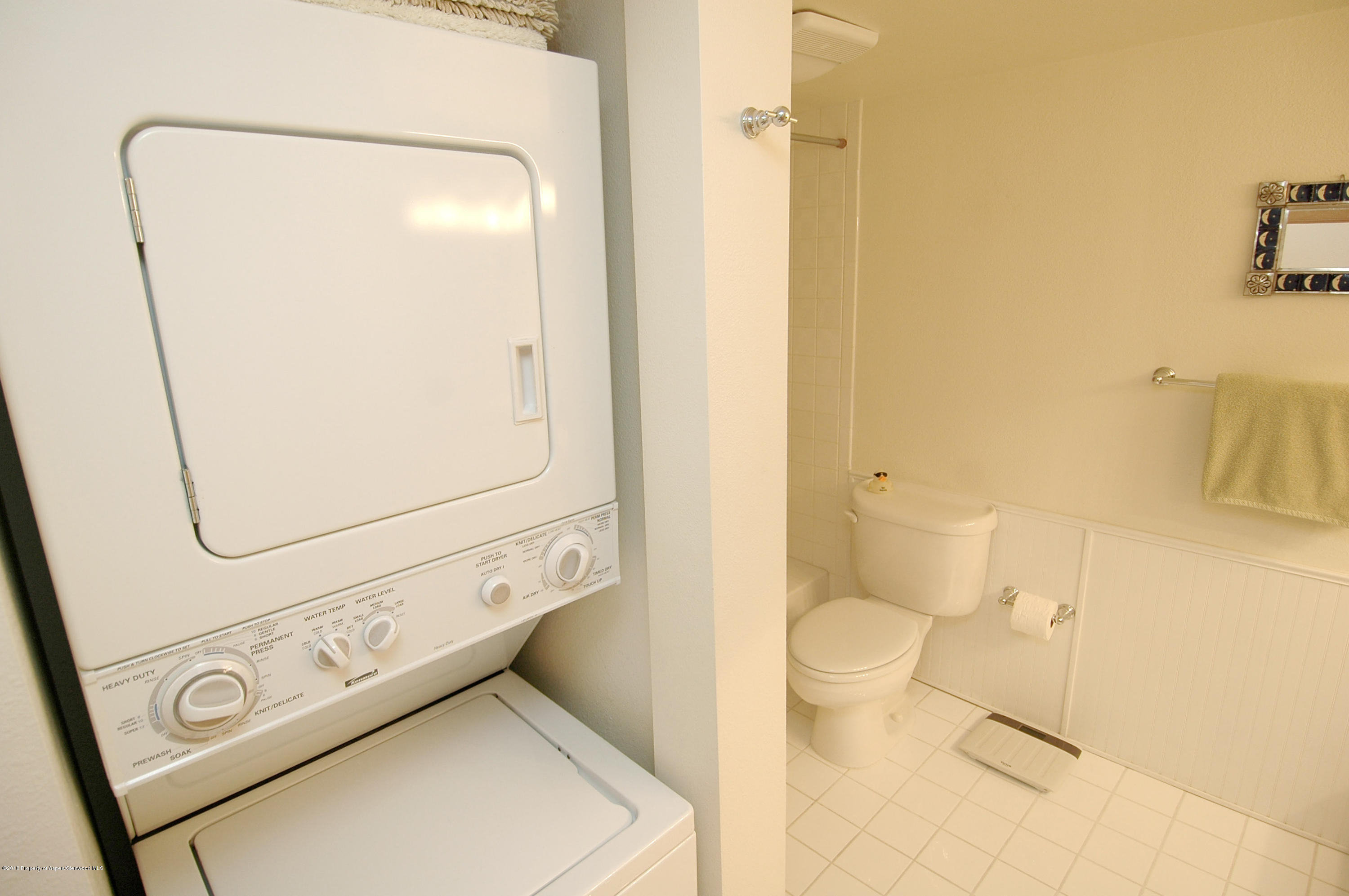 311 South Aspen Street, Unit 6 Aspen, CO 81611 - Photo 11 of 12 a bathroom with a toilet and a mirror