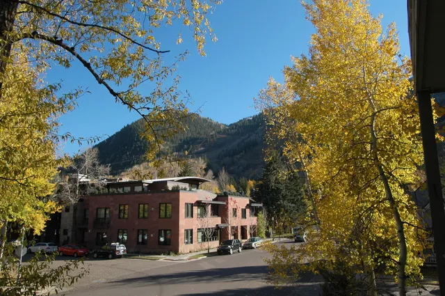 a view of a large building with a tree in the background