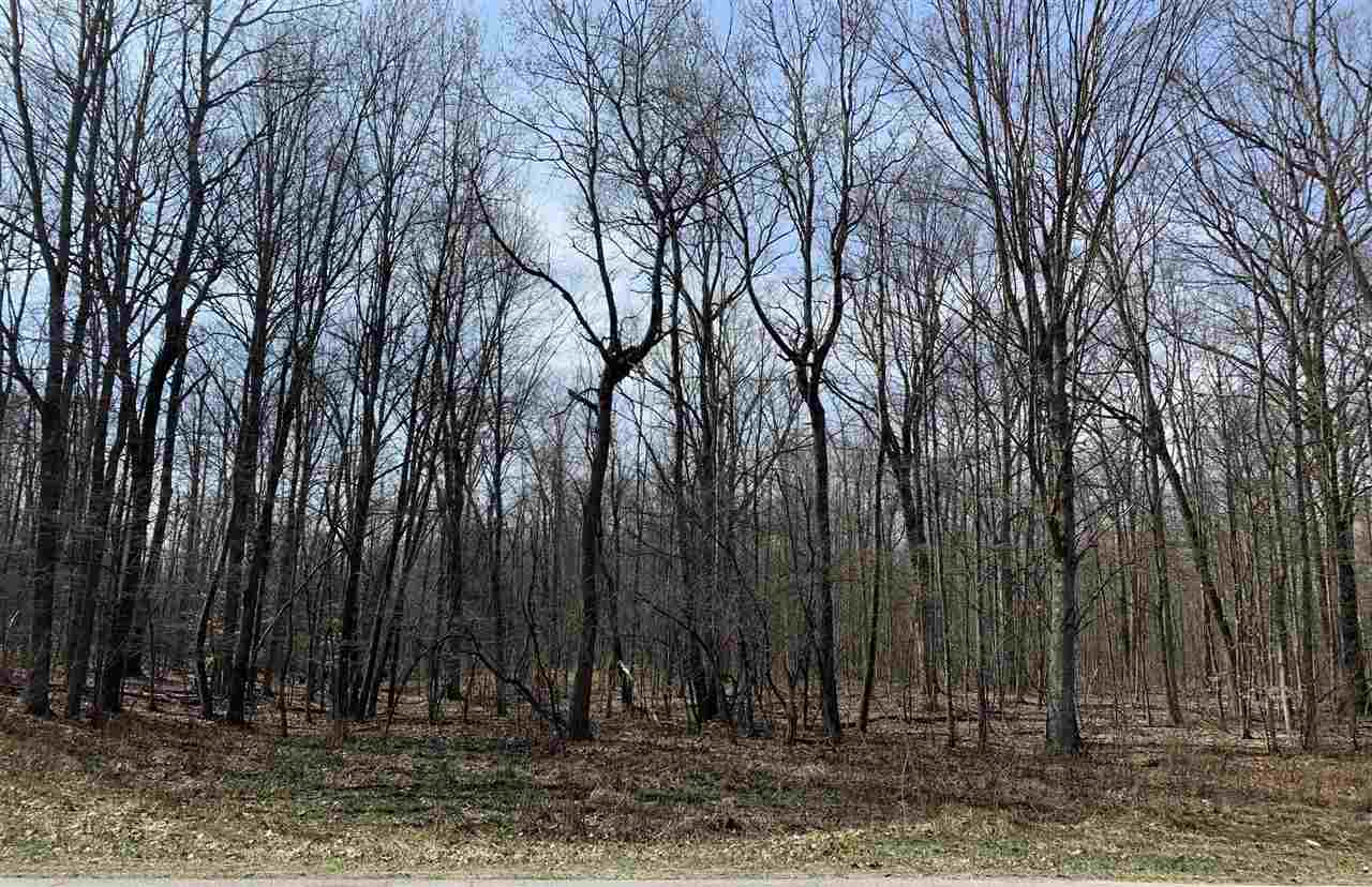 40 East Hawley Road Quincy, MI 49082 - Photo 2 of 5