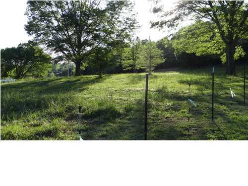 311 Rabbit Ranch Lane Decatur, TN 37322 - Photo 25 of 31 Additional Photo