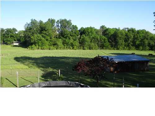 311 Rabbit Ranch Lane Decatur, TN 37322 - Photo 5 of 31 Additional Photo