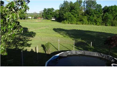 311 Rabbit Ranch Lane Decatur, TN 37322 - Photo 6 of 31 Additional Photo