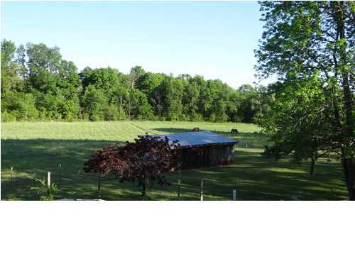 311 Rabbit Ranch Lane Decatur, TN 37322 - Photo 7 of 31 Additional Photo